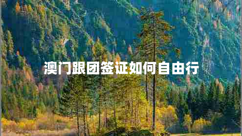 澳門跟團(tuán)簽證如何自由行
