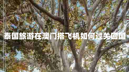 泰國(guó)旅游在澳門(mén)搭飛機(jī)如何過(guò)關(guān)回國(guó)