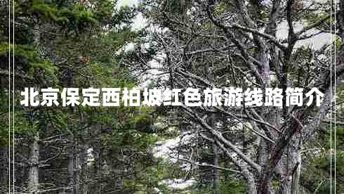 北京保定西柏坡紅色旅游線路簡(jiǎn)介