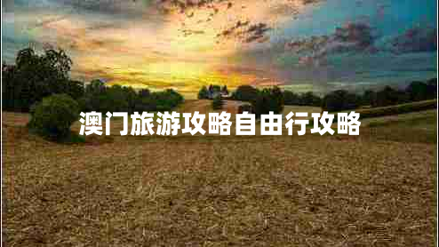 澳門旅游攻略自由行攻略