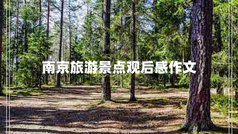 南京旅游景點觀后感作文