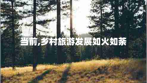 當前,鄉(xiāng)村旅游發(fā)展如火如荼
