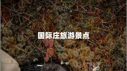 國際莊旅游景點