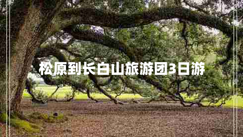 松原到長白山旅游團(tuán)3日游