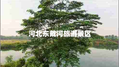 河北東戴河旅游景區(qū)