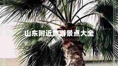山東附近旅游景點大全