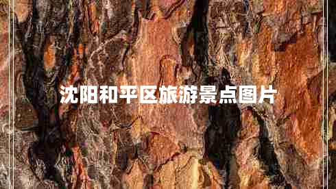 沈陽和平區(qū)旅游景點(diǎn)圖片