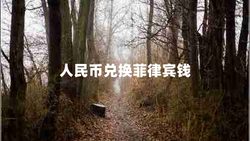 人民幣兌換菲律賓錢