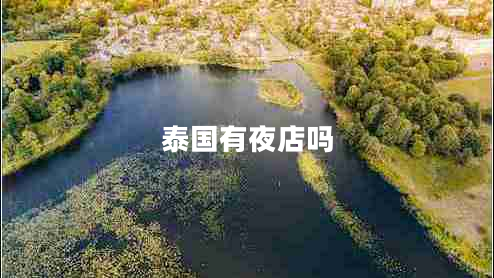 泰國(guó)有夜店嗎