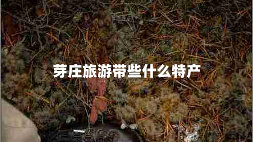 芽莊旅游帶些什么特產(chǎn)