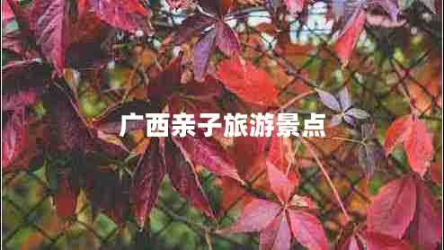 廣西親子旅游景點