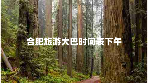 合肥旅游大巴時間表下午