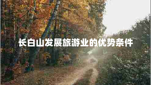長白山發(fā)展旅游業(yè)的優(yōu)勢條件