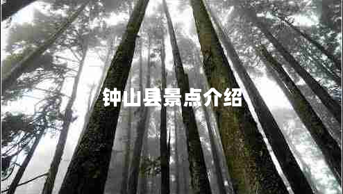 鐘山縣景點介紹