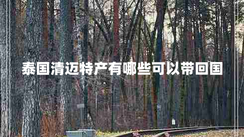 泰國(guó)清邁特產(chǎn)有哪些可以帶回國(guó)