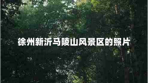 徐州新沂馬陵山風景區(qū)的照片