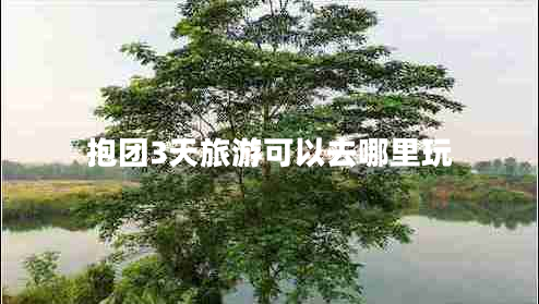 抱團(tuán)3天旅游可以去哪里玩