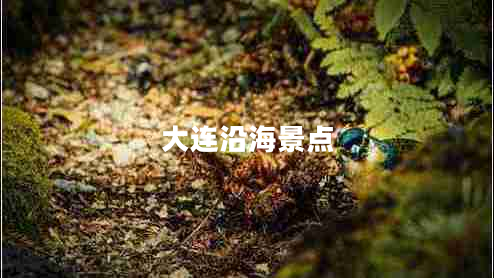大連沿海景點