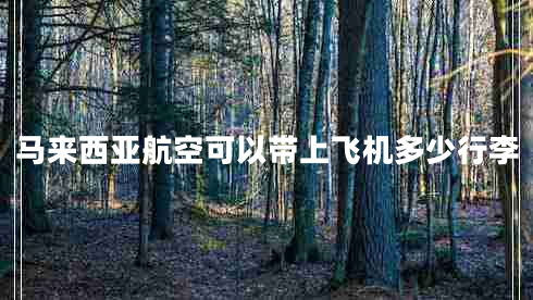 馬來西亞航空可以帶上飛機多少行李