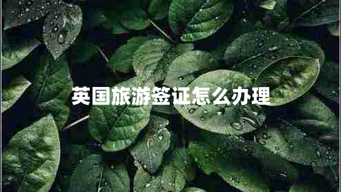 英國旅游簽證怎么辦理