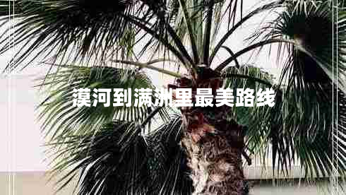 漠河到滿洲里最美路線