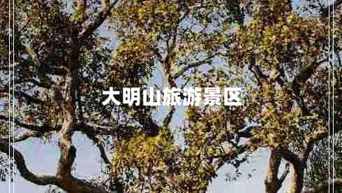 大明山旅游景區(qū)
