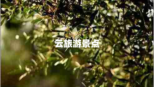 云旅游景點