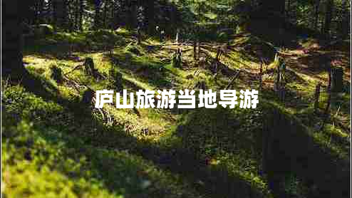 廬山旅游當?shù)貙в? title=