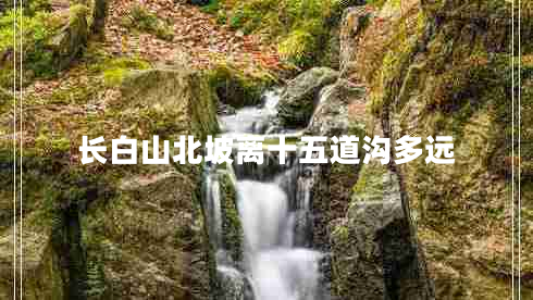 長(zhǎng)白山北坡離十五道溝多遠(yuǎn)