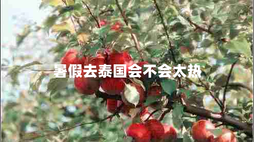 暑假去泰國會不會太熱