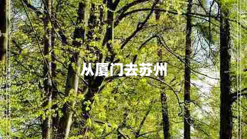 從廈門去蘇州