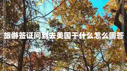 旅游簽證問到去美國干什么怎么回答