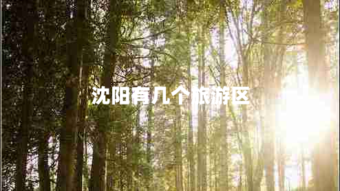 沈陽有幾個(gè)旅游區(qū)