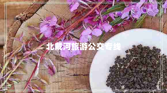 北戴河旅游公交專線