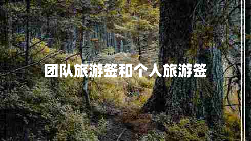 團隊旅游簽和個人旅游簽