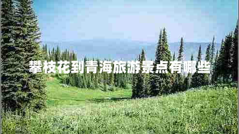 攀枝花到青海旅游景點有哪些