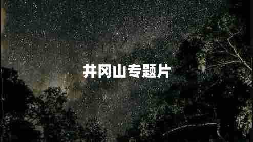 井岡山專題片
