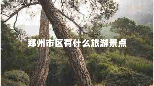 鄭州市區(qū)有什么旅游景點
