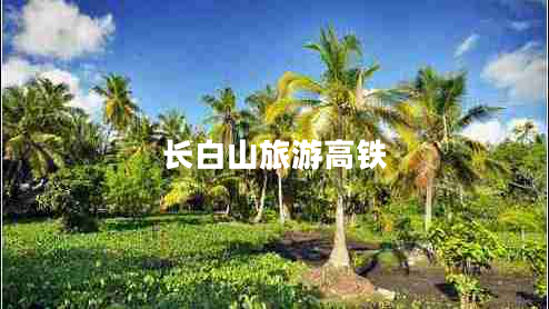 長白山旅游高鐵