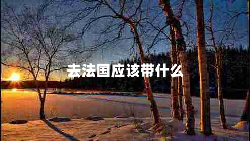 去法國應(yīng)該帶什么