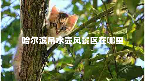 哈爾濱吊水壺風(fēng)景區(qū)在哪里