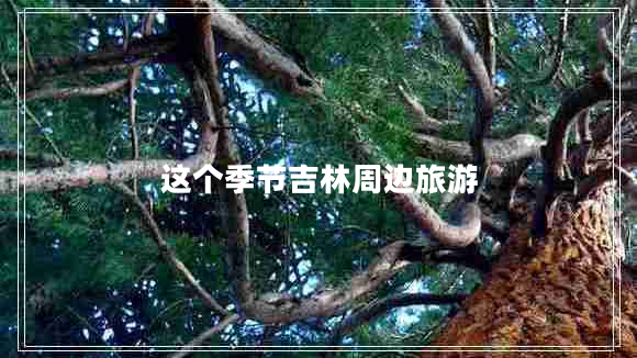 這個季節(jié)吉林周邊旅游