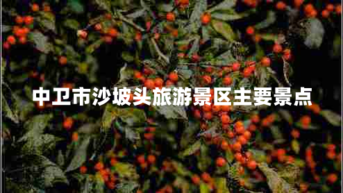 中衛(wèi)市沙坡頭旅游景區(qū)主要景點