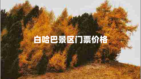 白哈巴景區(qū)門票價格
