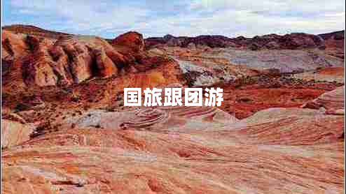 國(guó)旅跟團(tuán)游