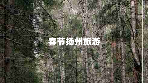 春節(jié)揚州旅游