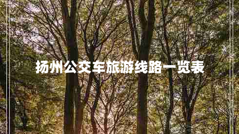 揚(yáng)州公交車旅游線路一覽表