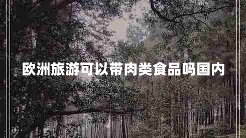 歐洲旅游可以帶肉類食品嗎國內(nèi)