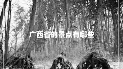 廣西省的景點有哪些