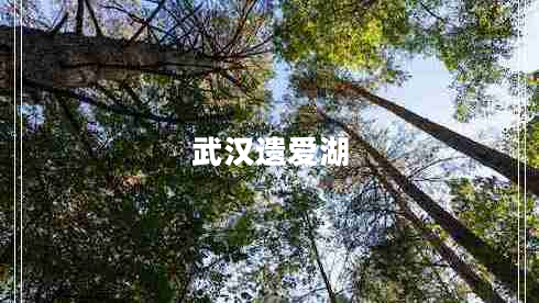 武漢遺愛湖